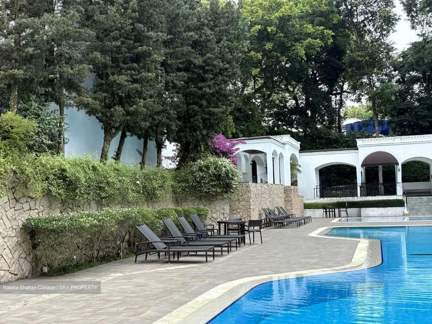 Tanglin Park (D10), Condominium #614191961